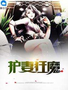 护妻狂魔任清风柳清瑶封面