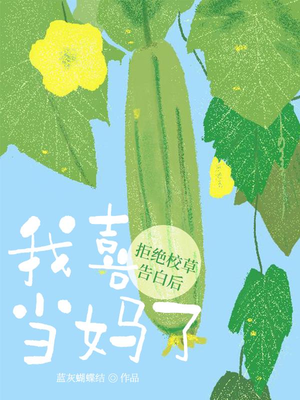 拒绝校草告白后，我喜当妈了封面