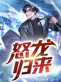 怒龙归来小说封面