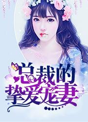 相亲当天，豪门大佬和我领证了郑汀浅封面