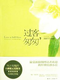 叶雨舒盛泽安的小说名字叫什么封面