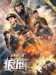 秦岳张振华封面