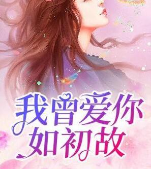 时梦菀龙绯宇封面