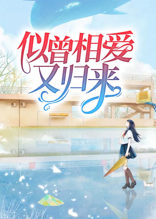 似曾相爱又归来封面