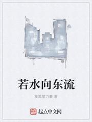 若水向东流封面