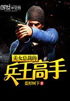 美女总裁的兵王高手封面
