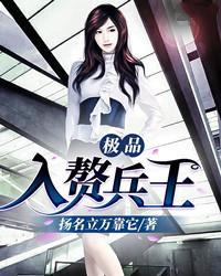 叶沁心陆渡小说封面