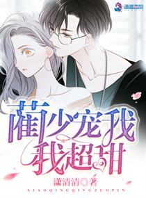 顾泠泠陆晏臣小说封面