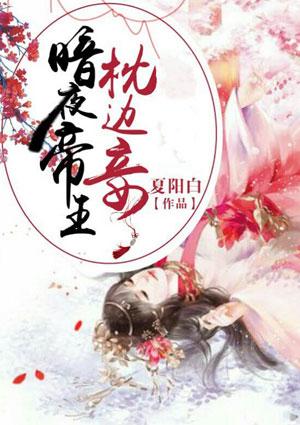 秦长歌夜无边封面