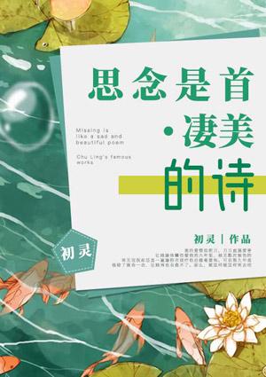 思念是首凄美的诗封面