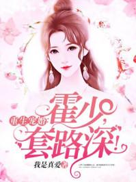 宋辞霍慕沉小说免费阅读封面