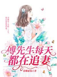 傅先生每天都在追妻封面