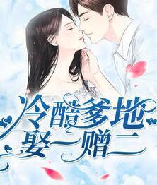 冷酷爹地娶一赠二封面