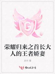 小说纪摇星傅灼封面