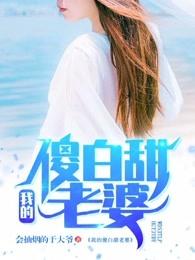 钱我是拒绝的小说封面