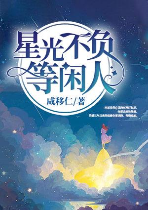 星光不负等闲人封面