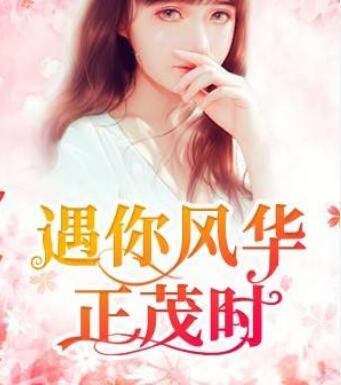 遇你风华正茂时封面