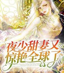 夜少甜妻又惊艳全球了封面