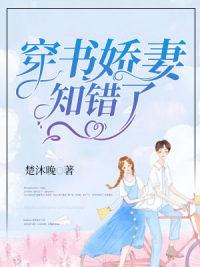 主角秦晏迟知夏小说封面