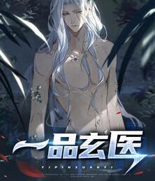 一品玄医叶凡封面