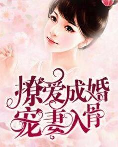 玄奕澈小说全文免费阅读封面