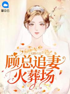 天降六宝：顾总追妻火葬场封面