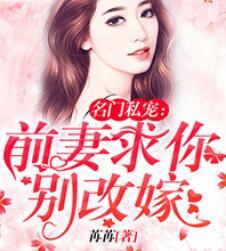 前妻别改嫁封面