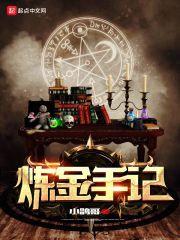 炼金手记封面