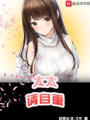 太太请自重封面