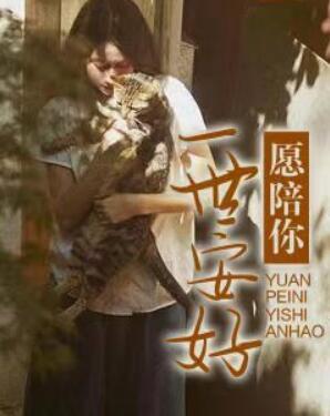 愿陪你一世安好封面