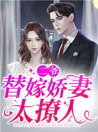二爷替嫁娇妻太撩人余烟晚苏妄封面