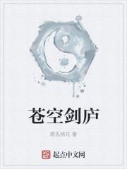 苍空剑庐封面