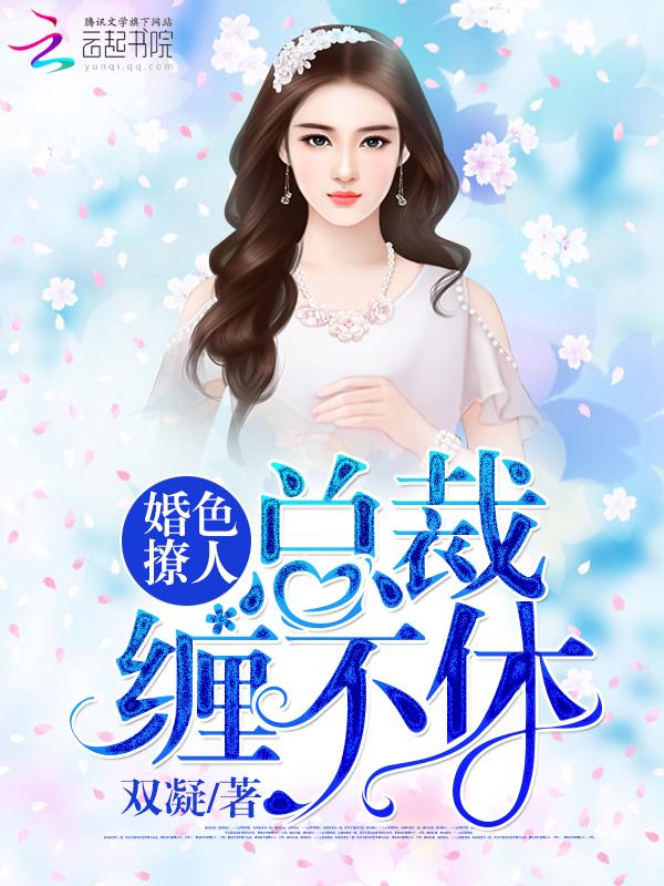 叶凡华云曦战龙在天封面