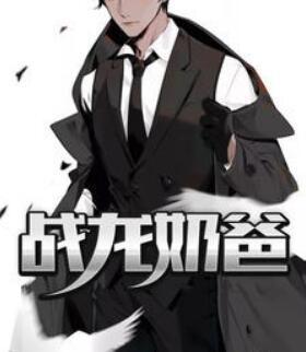 战龙奶爸封面