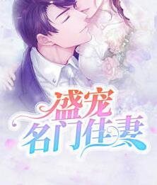 盛宠名门佳妻封面