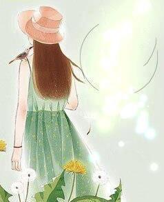 顾娇娇陆时衍封面