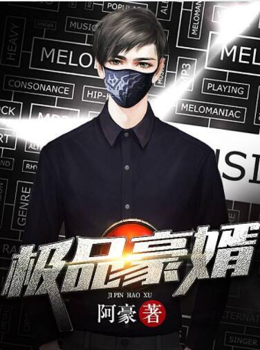 极品豪婿封面