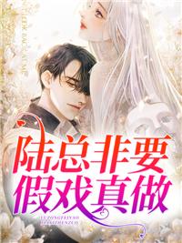 陆总非要假戏真做封面