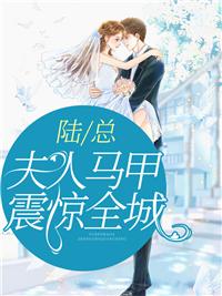 陆总，夫人马甲震惊全城封面