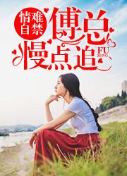 叶晴天秦鹤轩封面