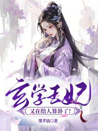 玄学王妃又在给人算卦了！封面