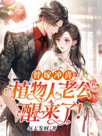 陆芯暖顾行阳小说免费阅读全文封面