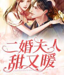 苏柠秦斯越霍子城小说封面