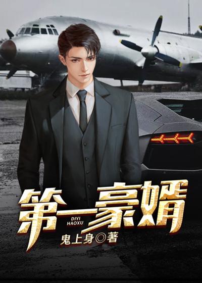 第一豪婿封面