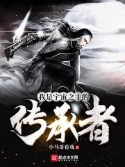 夺目七年周辞封面