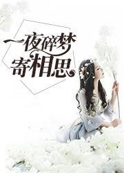 林逍云若雨封面