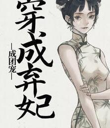 阮青青沈泽川封面