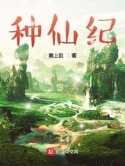 种仙纪封面