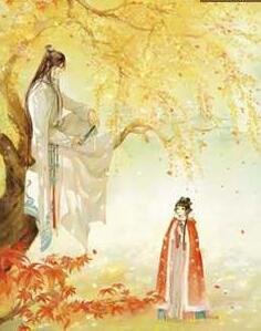 白念初沈璟封面