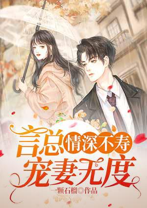 盛夏言景祗封面